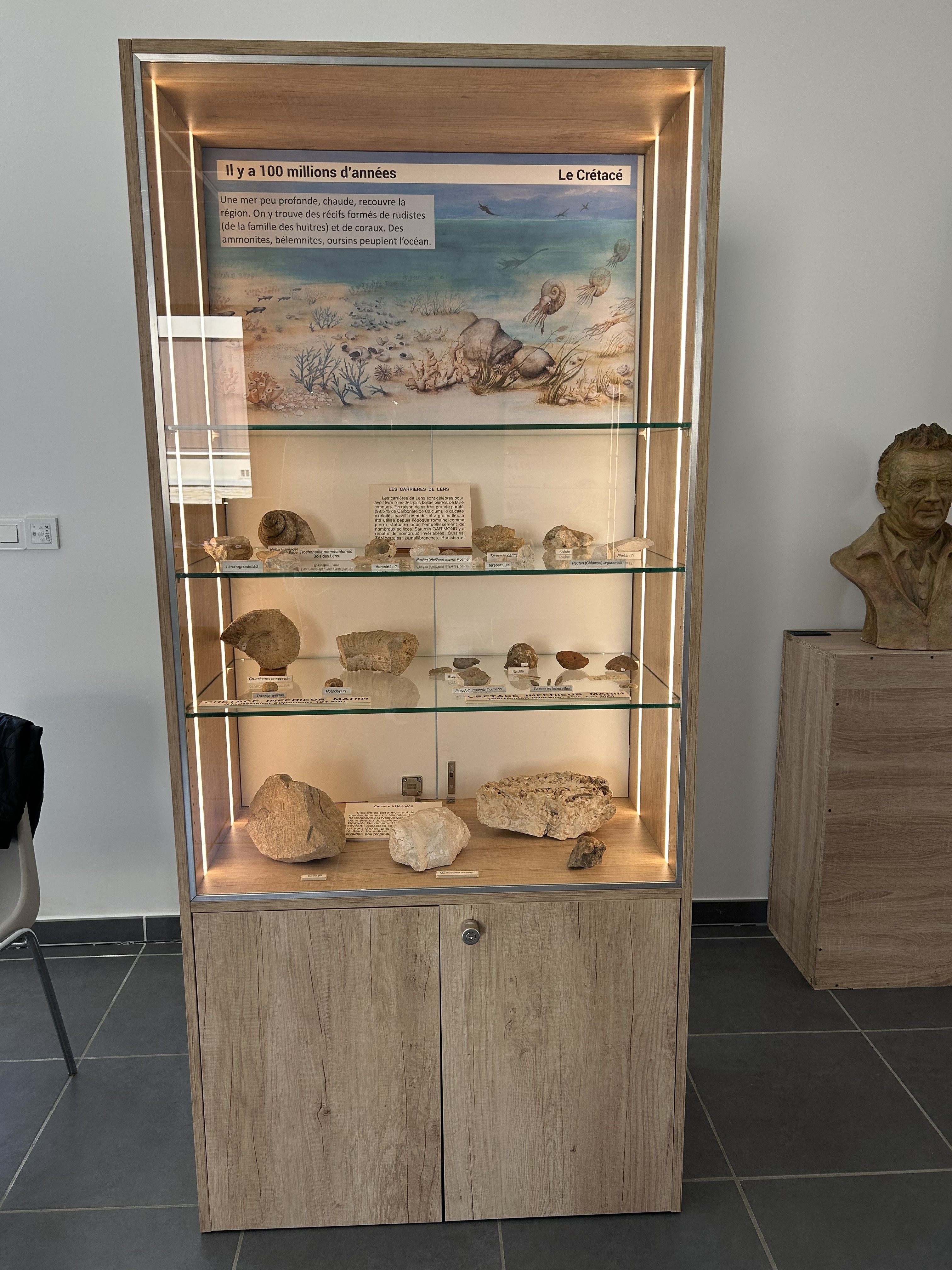 VITRINE LE CRETACE